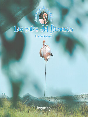 cover image of Las patas del flamenco (The Flamingo's Legs)